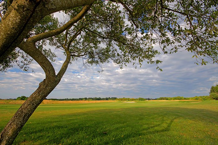 Newport National | Website Redesign & Pro Course Photography